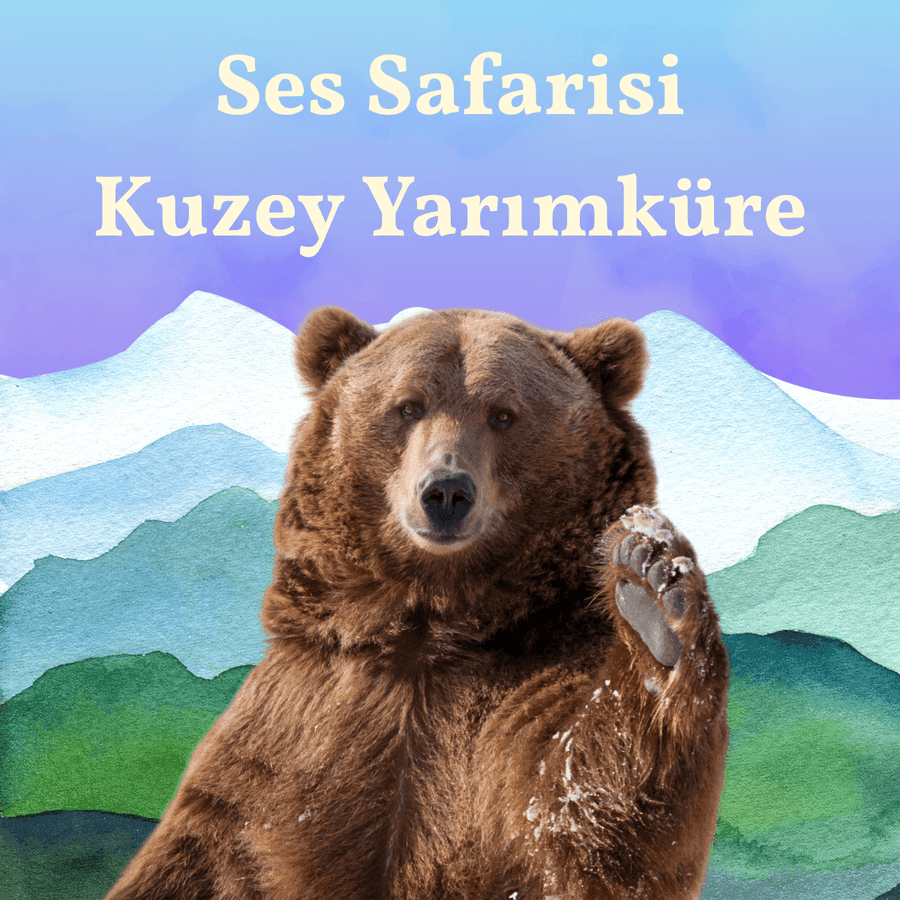 Ses Safarisi: Kuzey Yarımküre